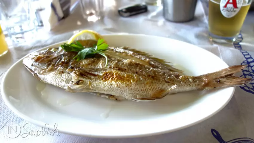 Fresh seabream on the grill