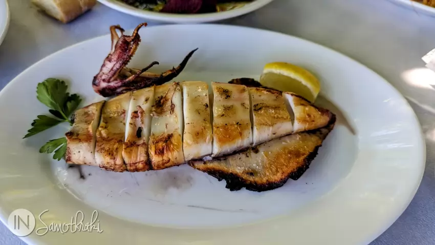 Grilled calamari