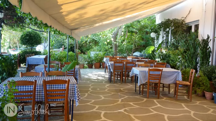 The terrace is full of flowers and vegetation.
