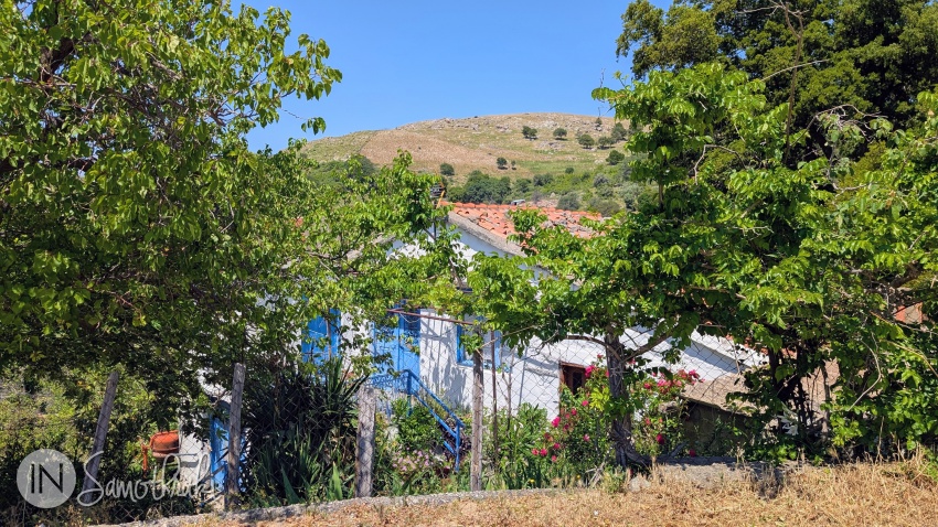 Some houses are barely visible through the lush vegetation.