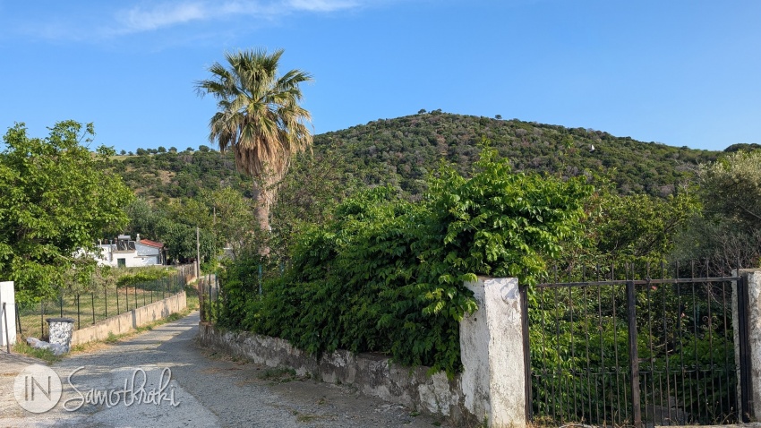 In the courtyards, you will also come across palm trees.
