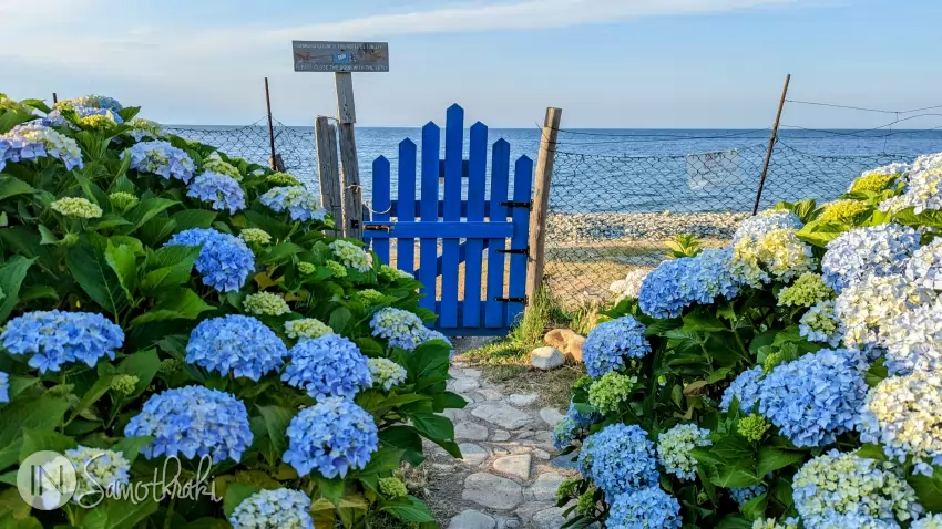 Beyond the blue gate is the sea.