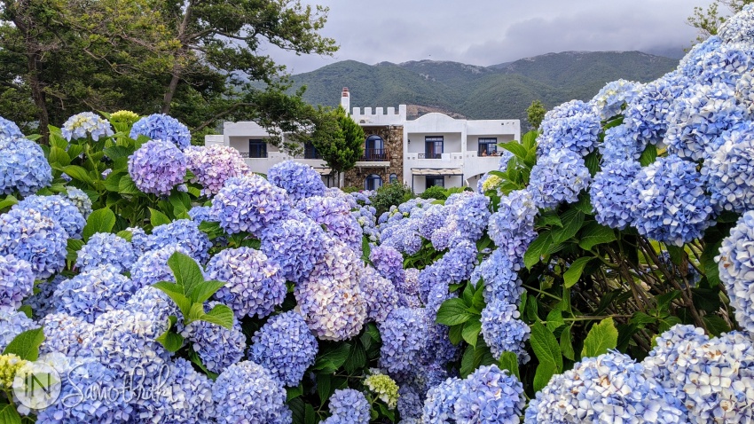 Hotel Archondissa Boutique Beach