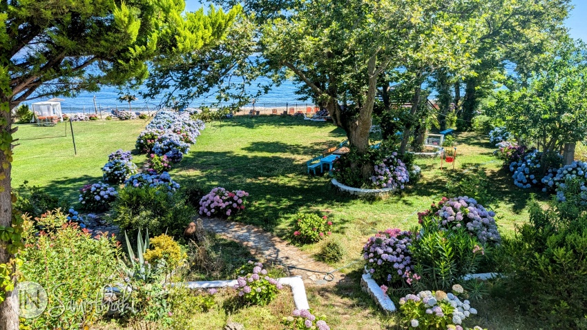 The Garden of Hotel Archondissa