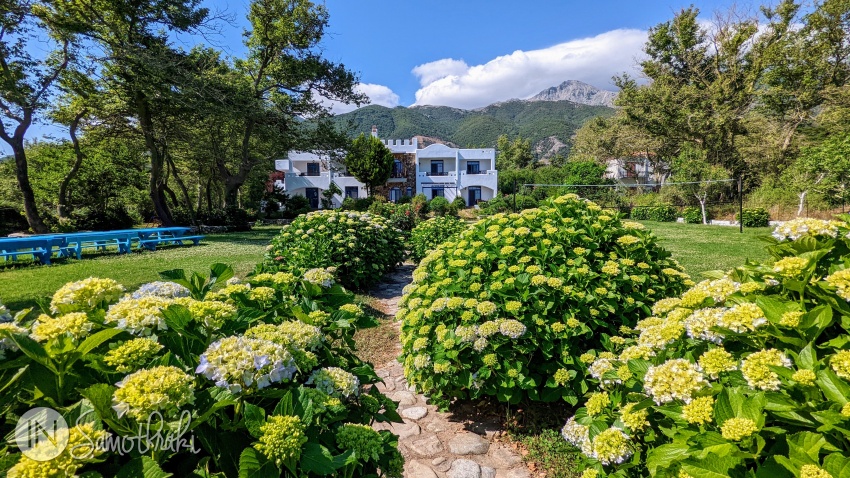 The view towards the mountain, before the hydrangeas bloom
