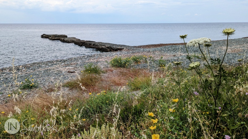 The old pier is in ruins nowadays.