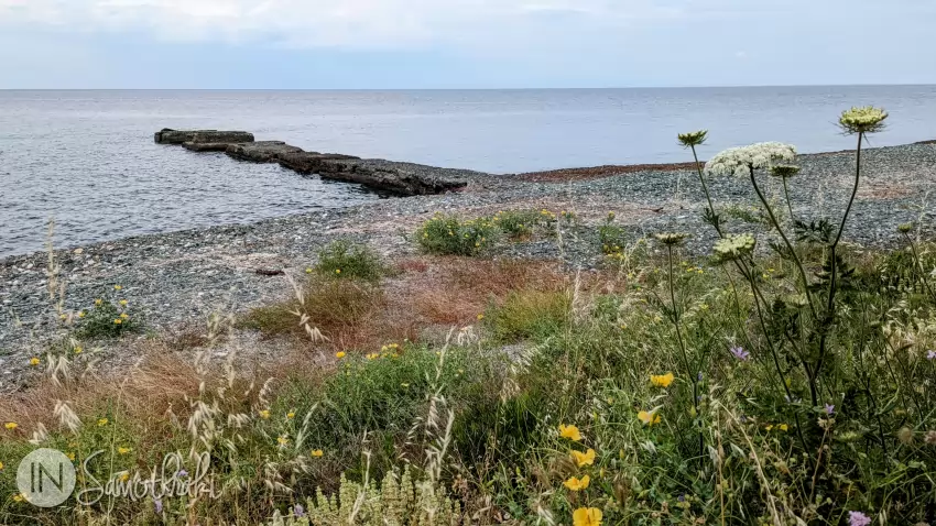 The old pier is in ruins nowadays.