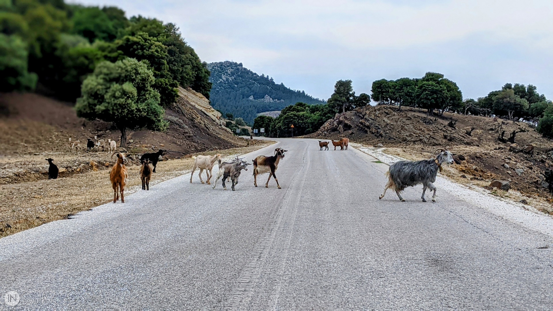 Samothraki, the Goat Island