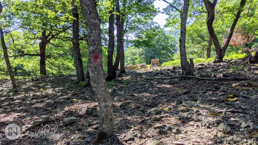 The E6 markers are interspersed with red dots.