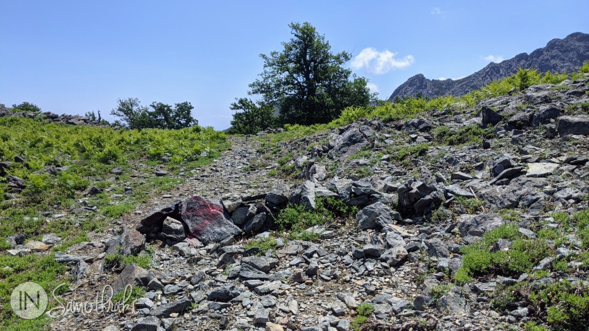 The path veers right as the vegetation becomes increasingly sparse.