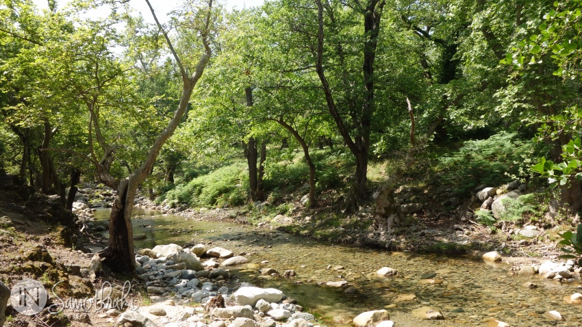 As you go up, the hiking route follows the left bank of Fonias River.