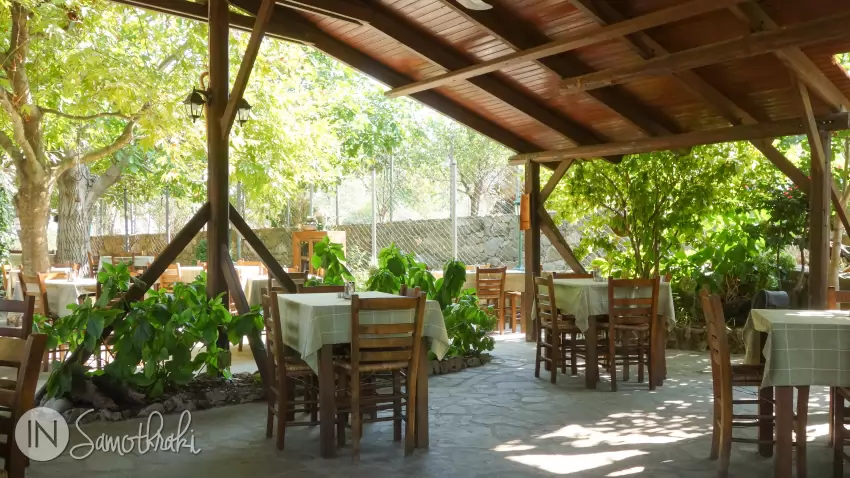 The tables are sheltered under a wooden bower and plane trees.