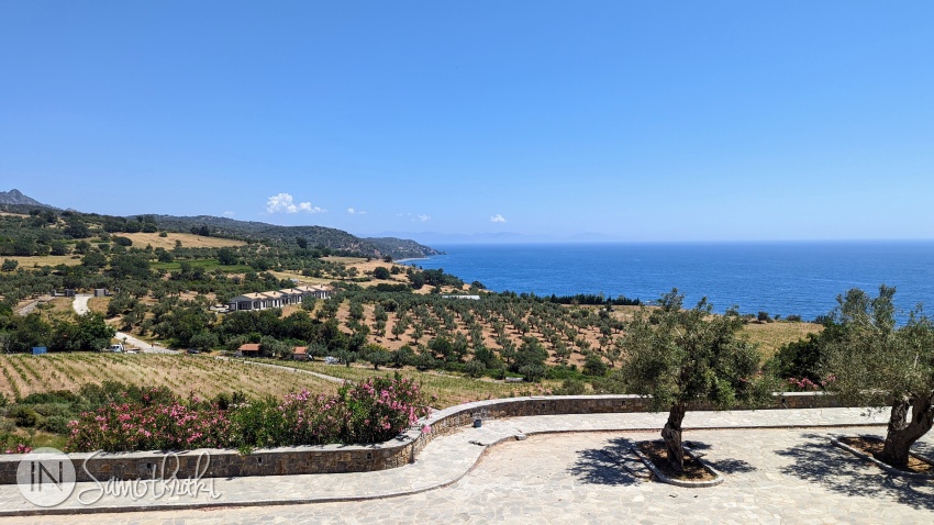 The guest apartments will be located among vineyards and olive groves.