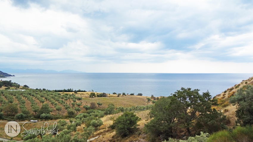 View towards the olive trees, vineyards and the Sea of Thrace