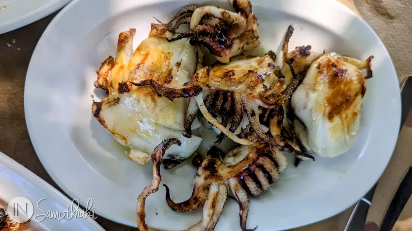 Grilled calamari