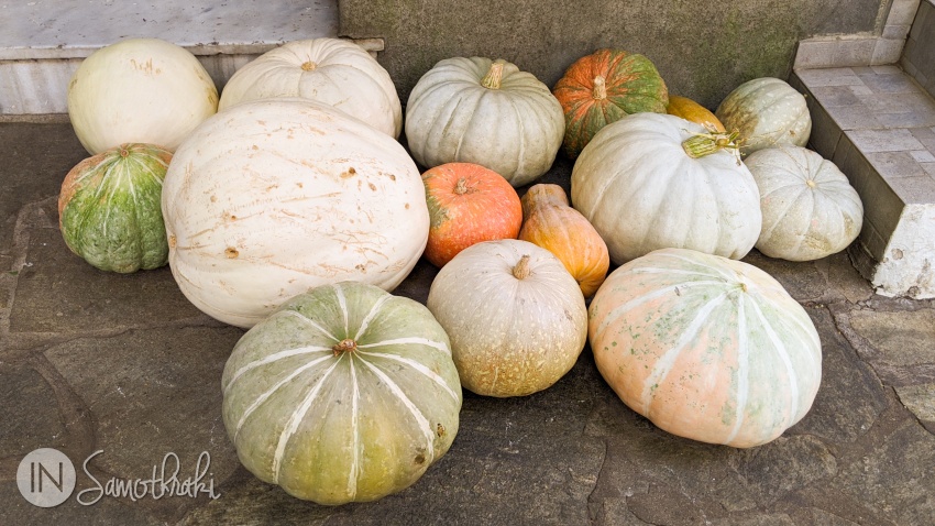 In the autumn, the pumpkins are ready to become jam.