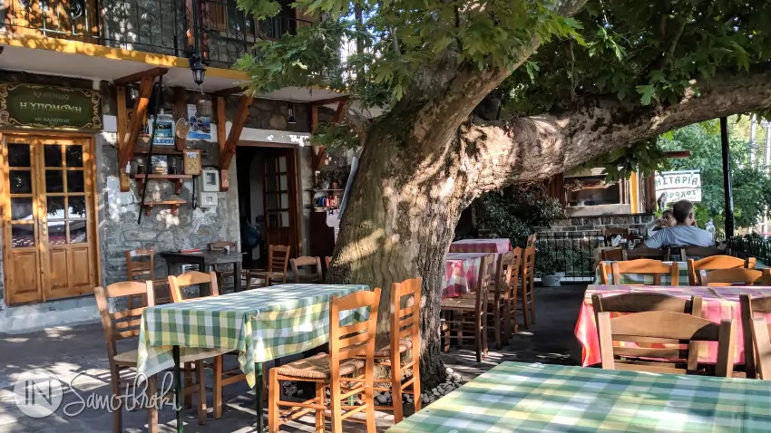 Old plane trees keep the sun away from the terrace.