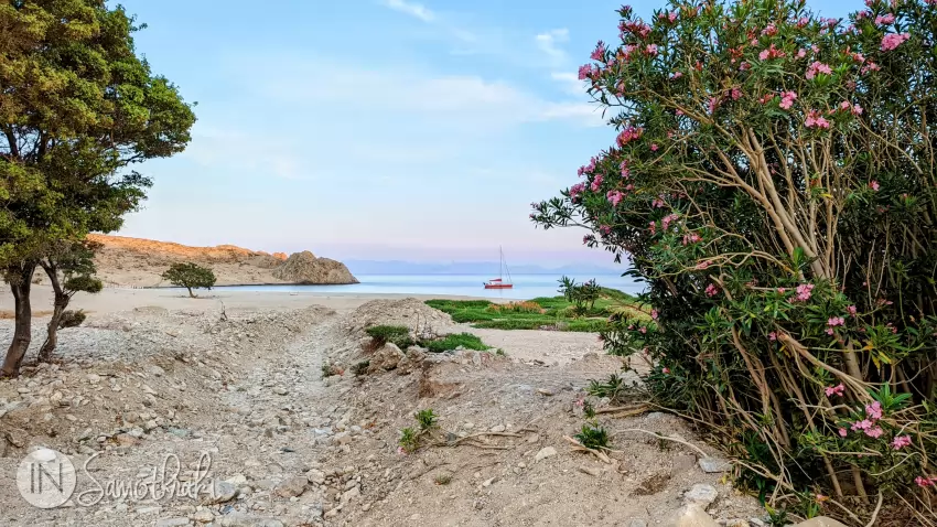 The vegetation consists mostly of shrubs, a few trees and colorful bushes of oleander.