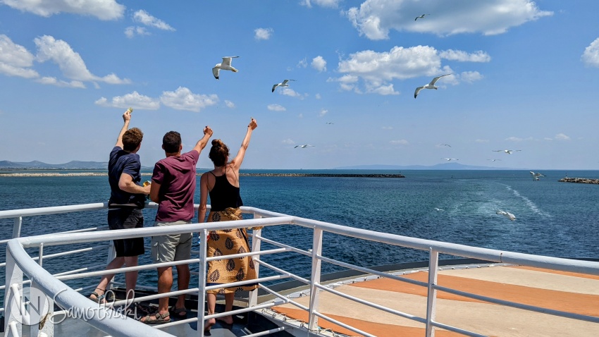 Seagulls often follow the ferry.