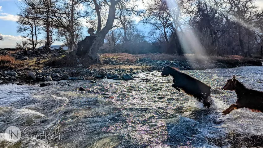 During the winter, on the Aggistros River