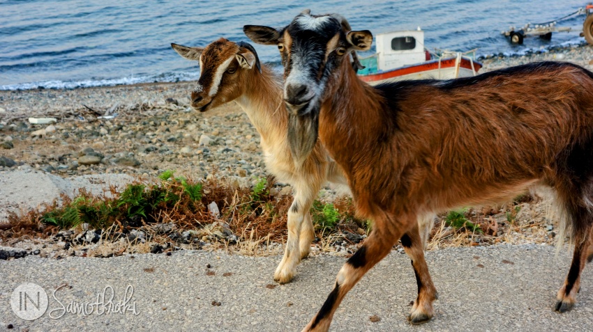 On the side of the road, towards the sea