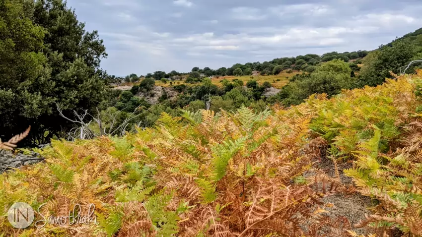 Nature changes color.