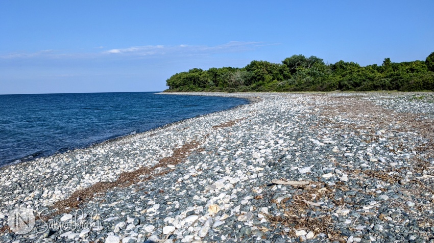 Therma Beach stretches between the port and the nearby forest.