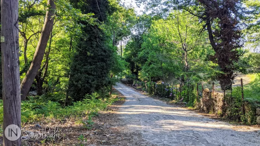 Street from Therma