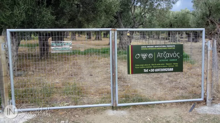 Atzanos Farm