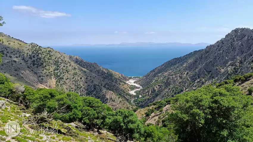 Vatos river and the beach