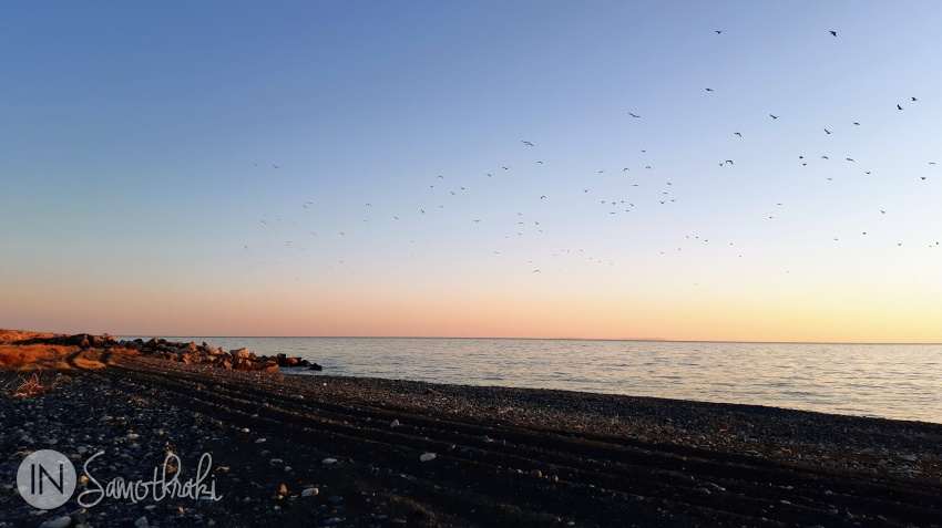 In spring and autumn migratory birds can be seen in the lagoon area.