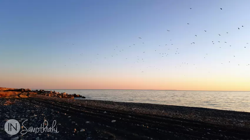 In spring and autumn migratory birds can be seen in the lagoon area.